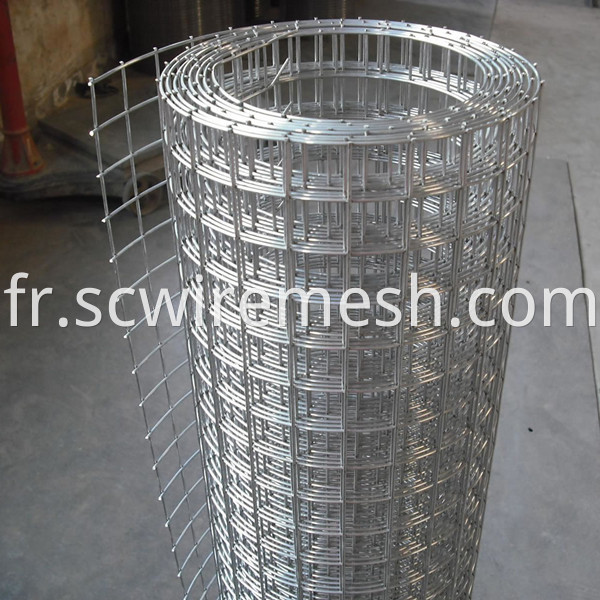 galvanized welded wire mesh